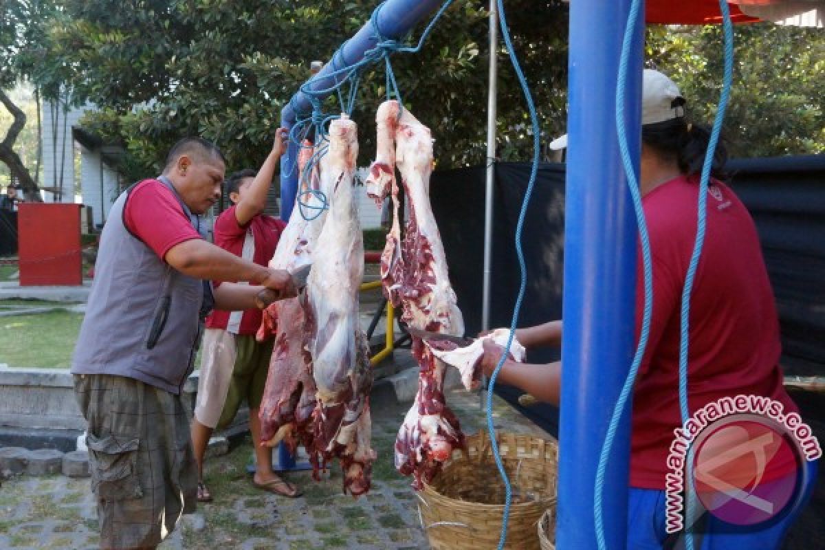 Semen Indonesia Menyalurkan 199 Hewan Qurban