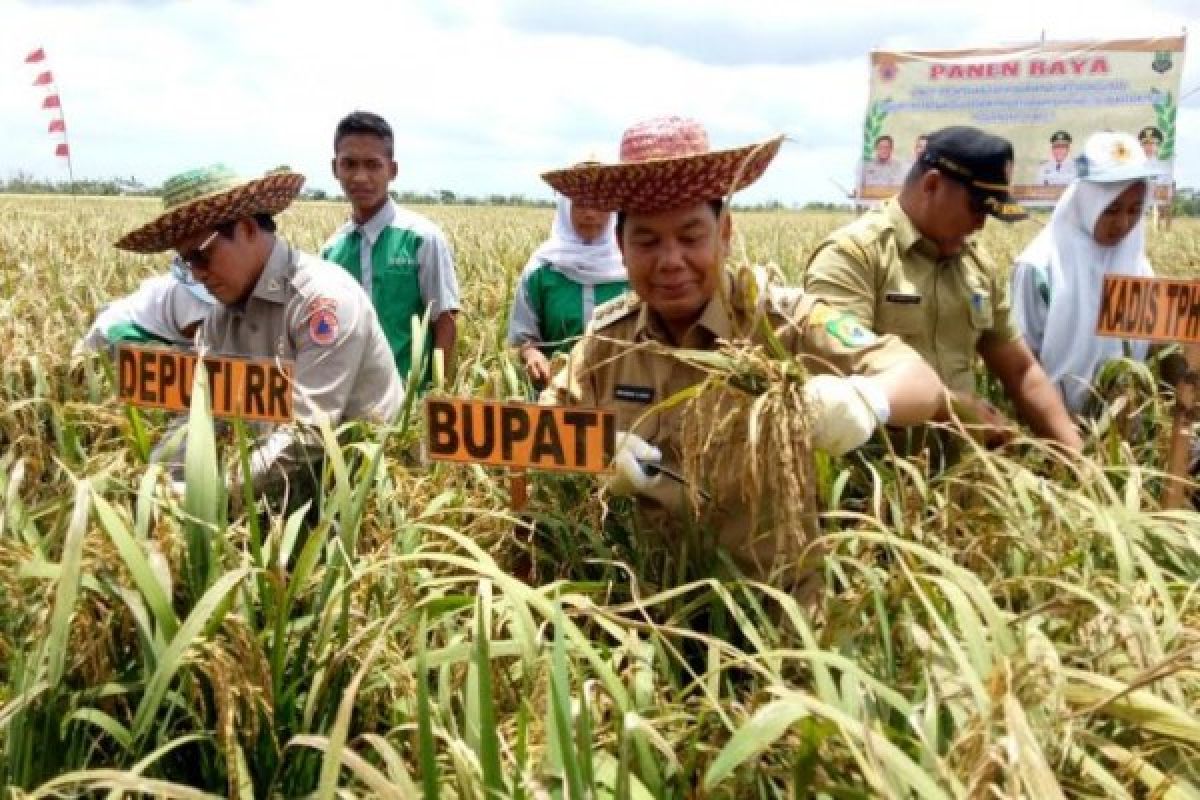 Bupati Kapuas-Deputi BNPB Panen Raya