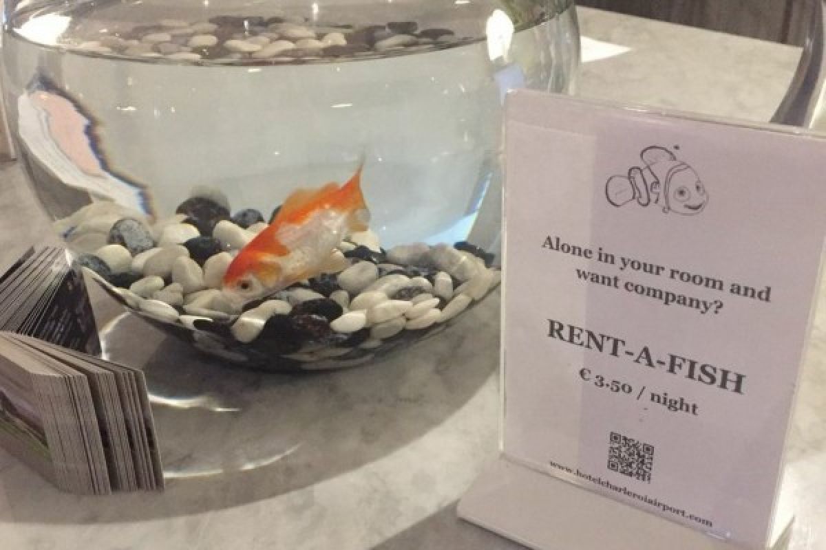 Hotel Ini Sewakan Ikan untuk Tamu Kesepian