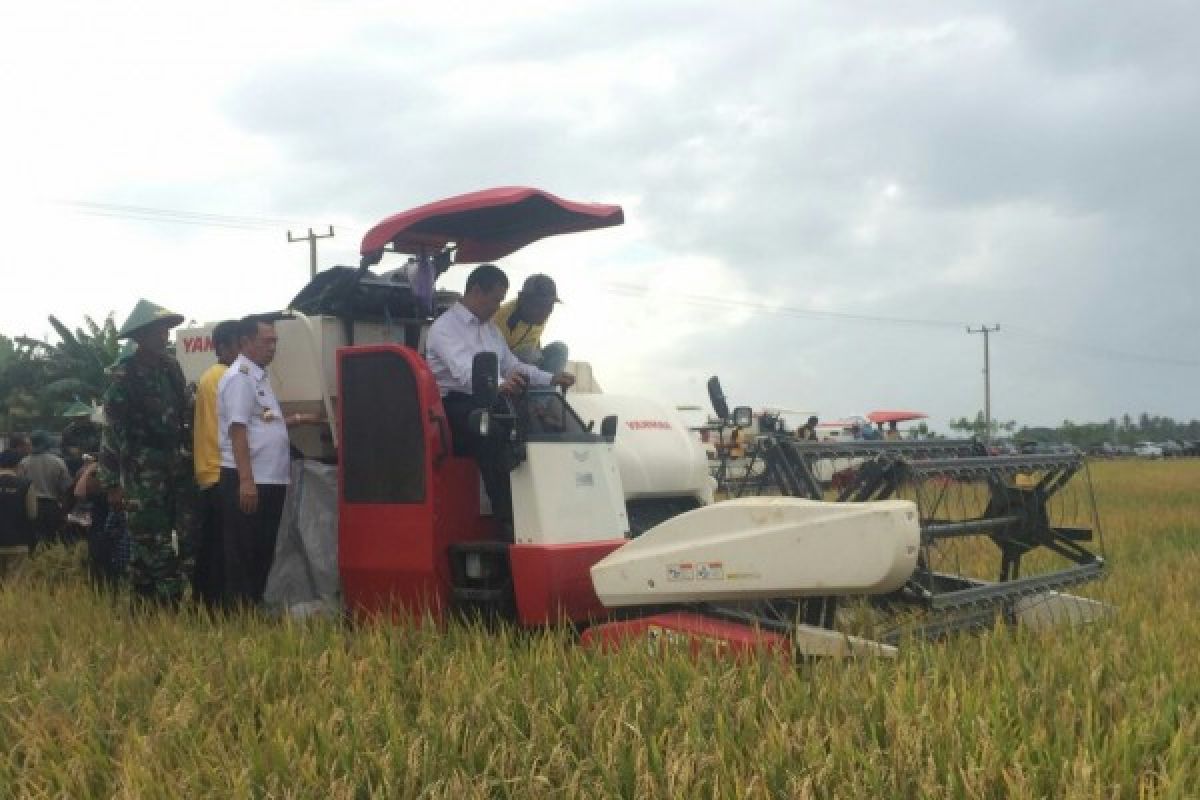 Beras surplus di Wajo Sulsel, Mentan diberi gelar penyelamat petani