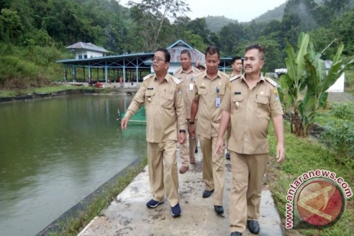 Pemkab Sekadau Komitmen Kembangkan Benih Ikan Berkualitas