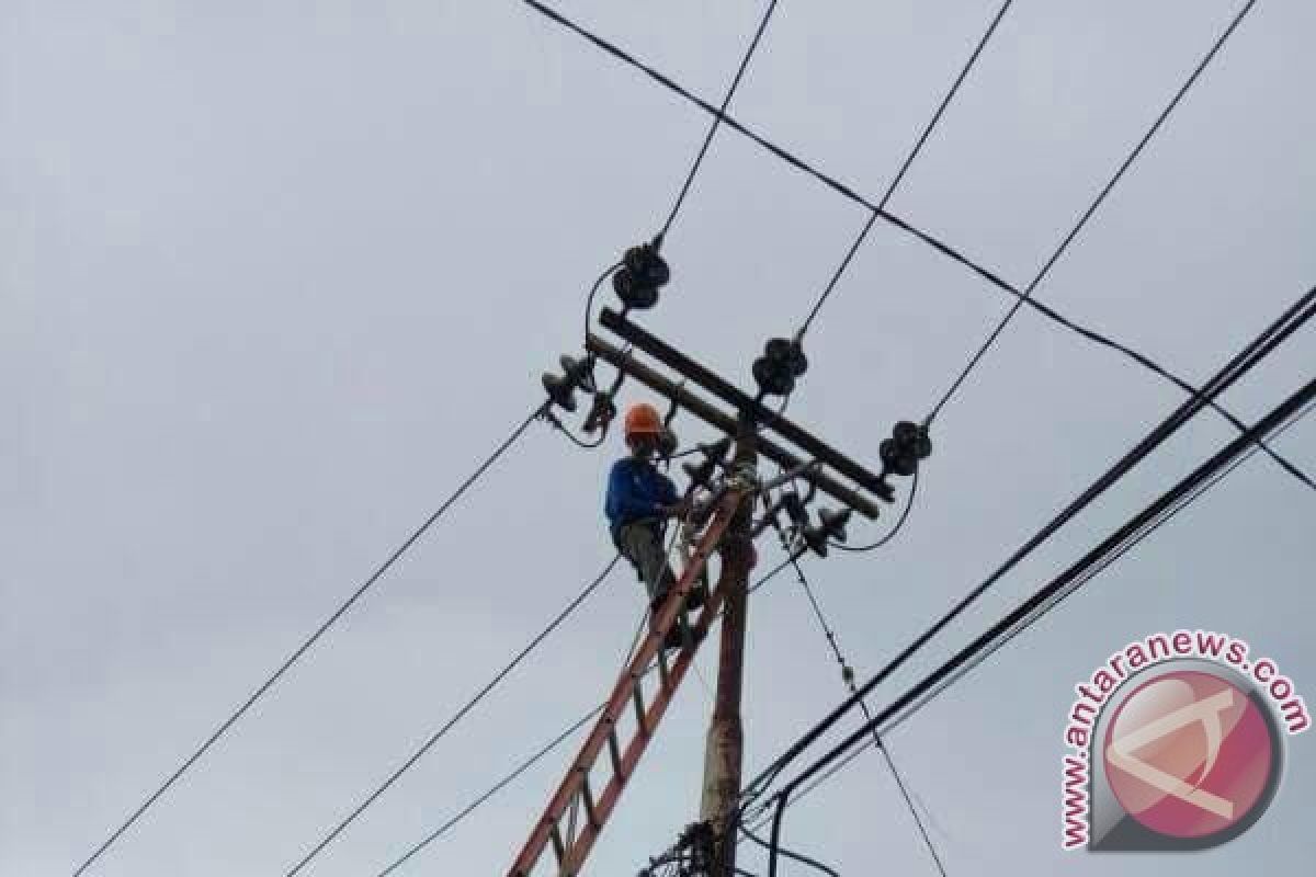 90 persen gangguan distribusi PLN karena kawat layangan