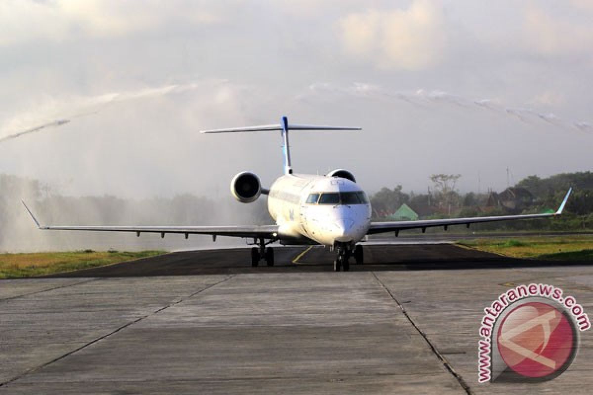 Bandara Banyuwangi masih aman dari abu vukanis