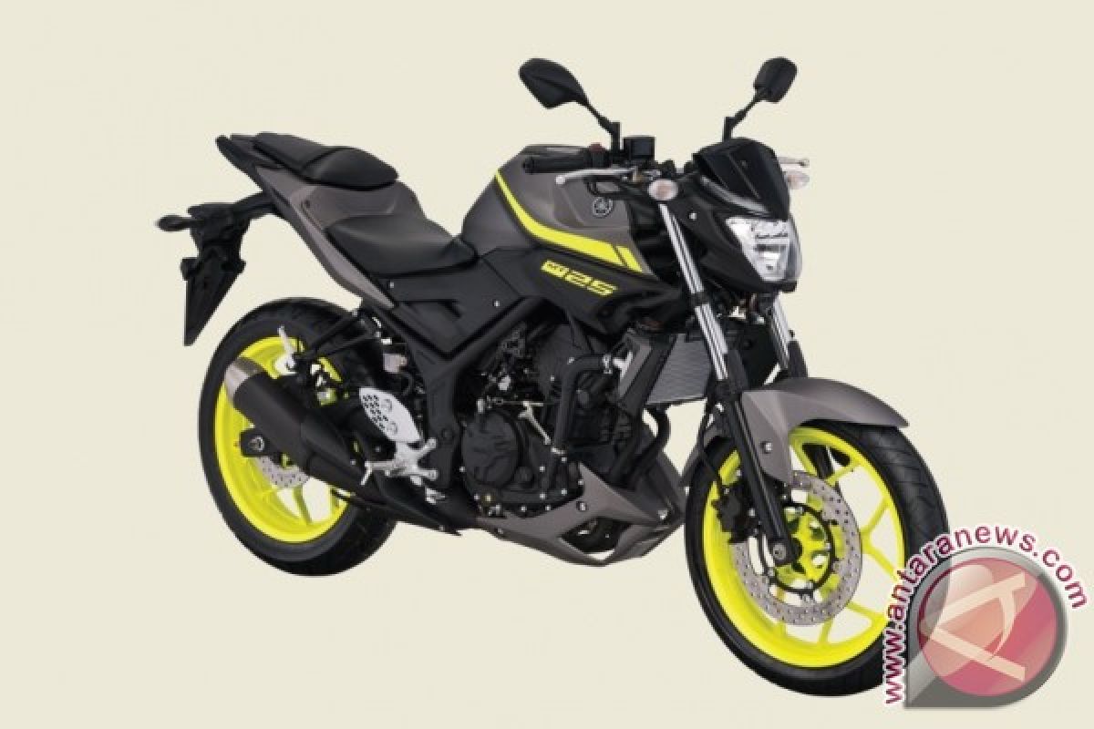 Yamaha MT-25 tampil dengan warna dan grafis baru