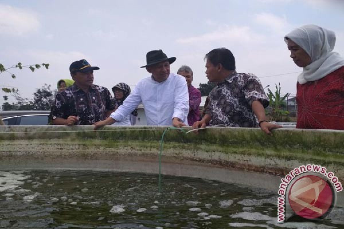 Baru Dua Persen Potensi Perikanan Budidaya Termanfaatkan