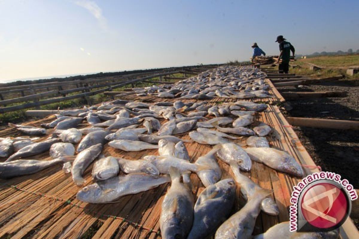 Pemerintah Pusat Berupaya Meningkatkan Konsumsi ikan Per kapita