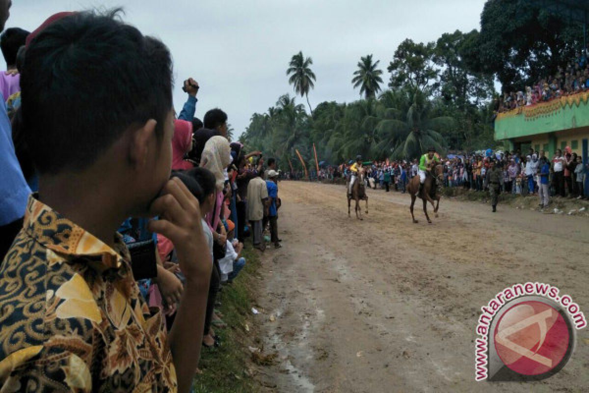 Padangpariaman Jadikan Pacuan Kuda Dongkrak Pariwisata