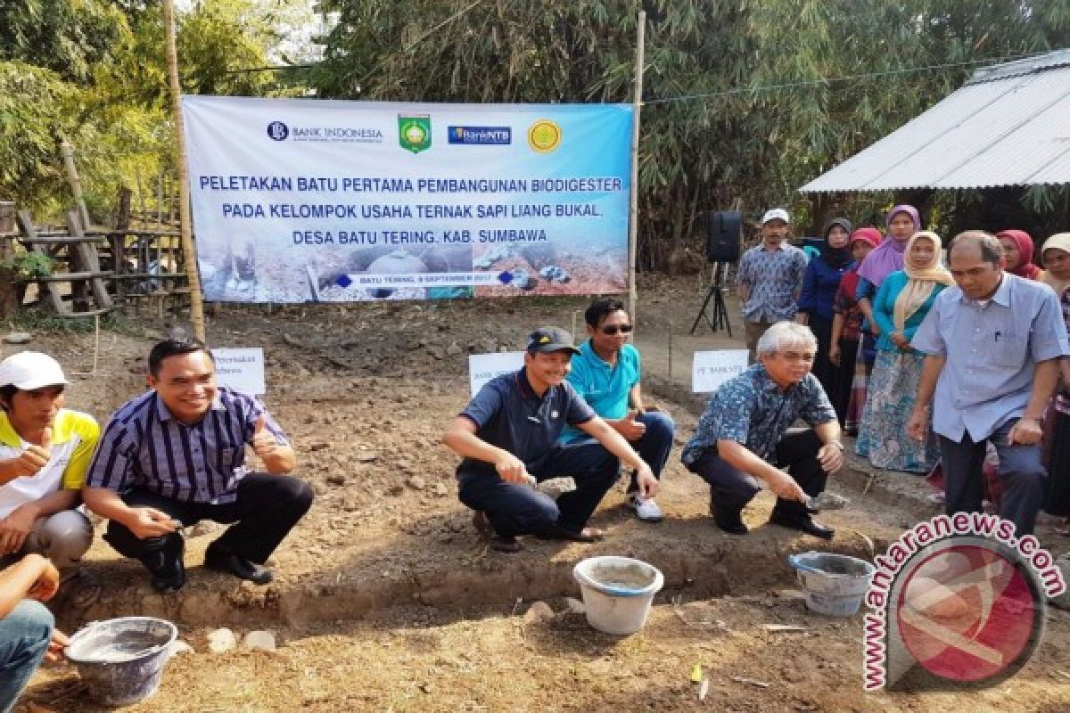 BI Membangun Pengolahan Limbah Ternak di Sumbawa 