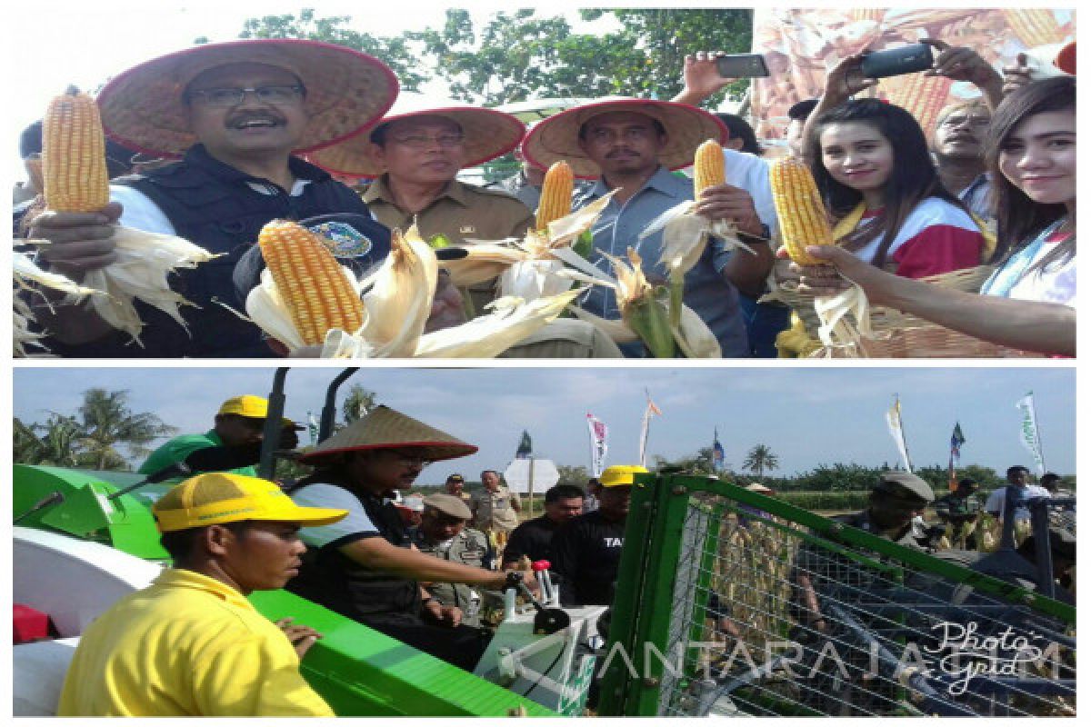 Pemprov Jatim Akan Perluas Lahan Untuk Swasembada Jagung (Video)