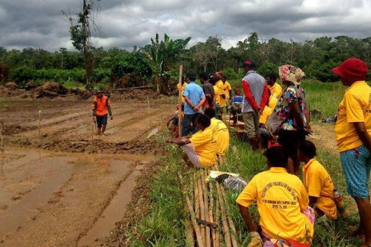 Tim Ekspedisi NKRI latih petani Mappi