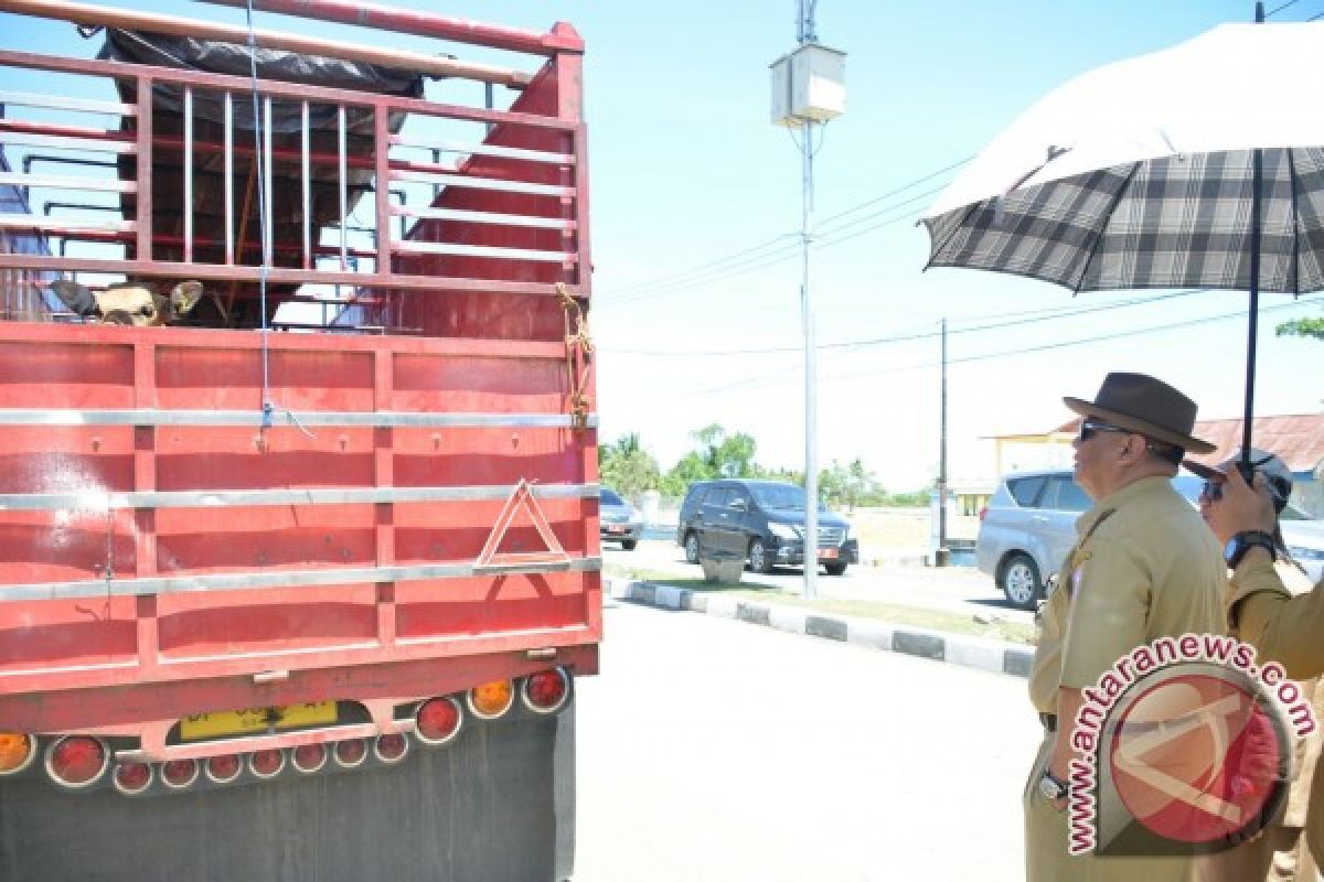 Gorontalo Utara Dukung Program Pengurangan Impor Sapi 