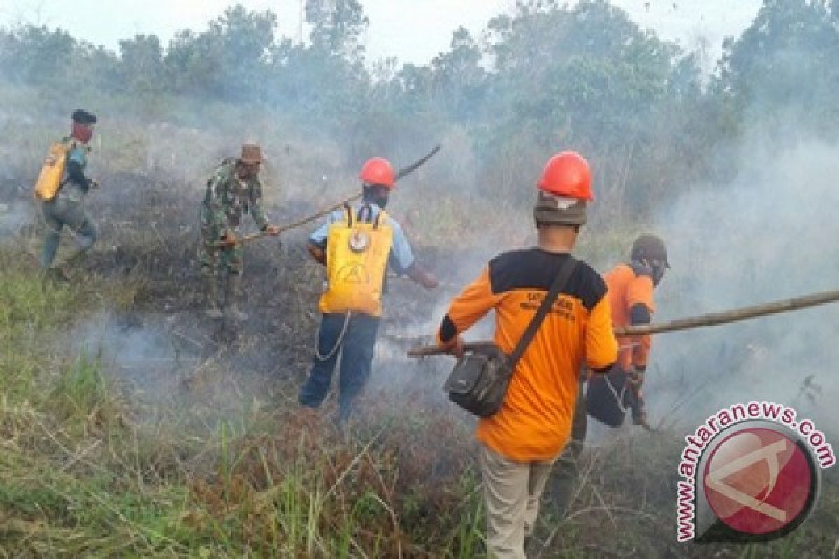 BPBD Tanbu Bangun 12 Posko Karhutla