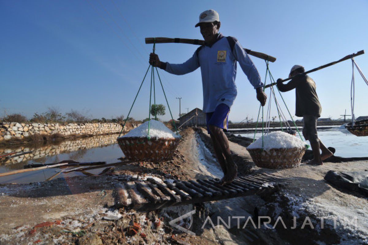 Kemenko kemaritiman dorong garam laut produksi Bali