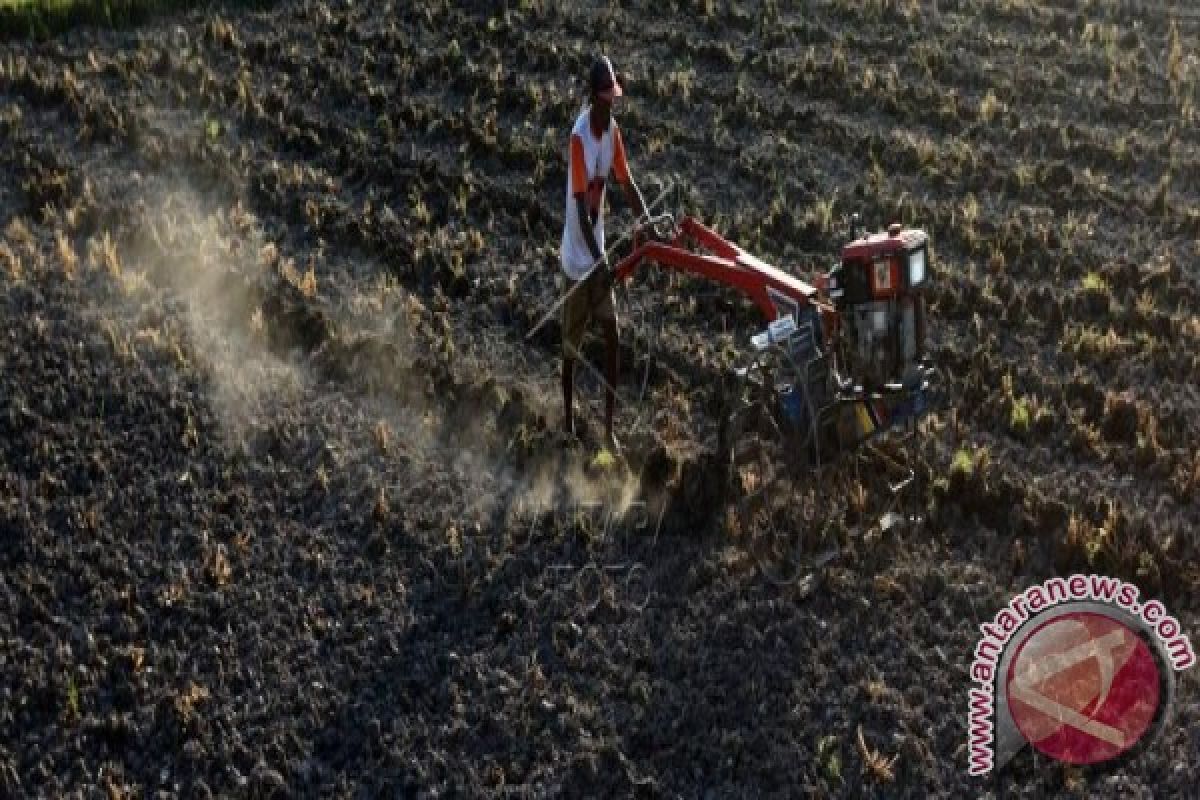 Sulsel Siapkan Brigade Alsintan Antisipasi Kemarau 