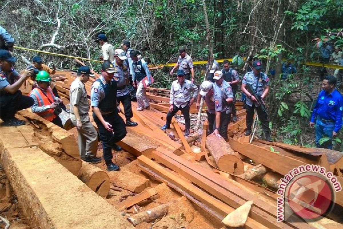 Polisi Berhasil "Bongkar" Lokasi Illegal Logging di Seruyan Hulu
