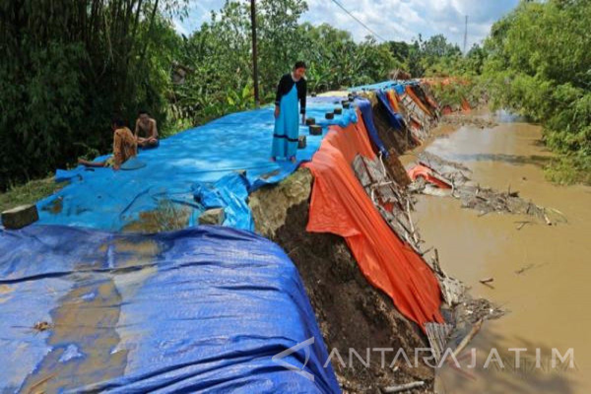 Ketua BNPB Kunjungi Bojonegoro Terkait Kerusakan Tanggul