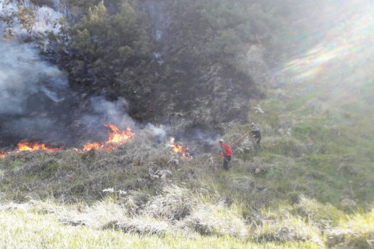 Petugas Gabungan Berhasil Padamkan Kebakaran di Padang Sabana Gunung Bromo
