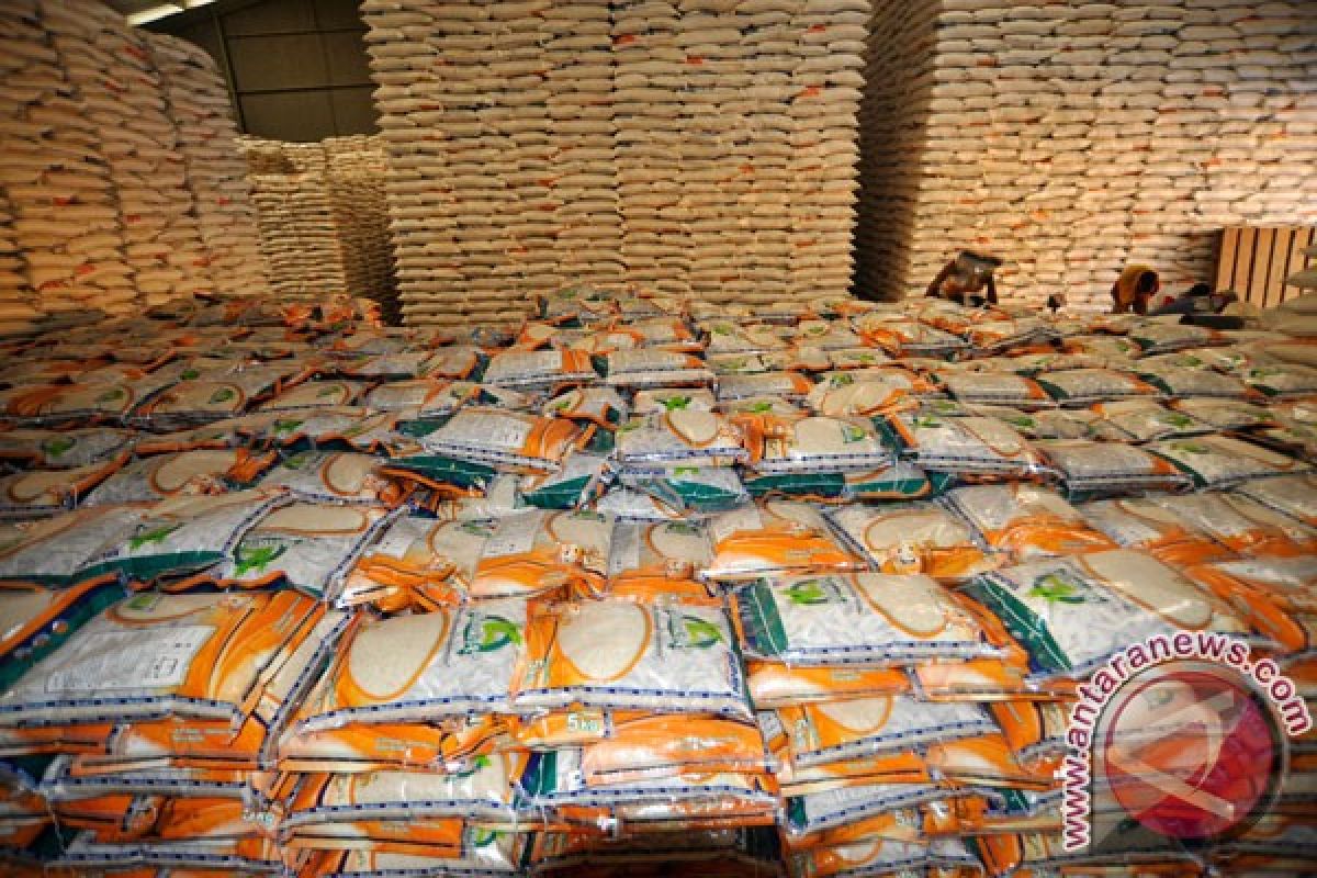 Bulog: stok beras hampir satu juta ton