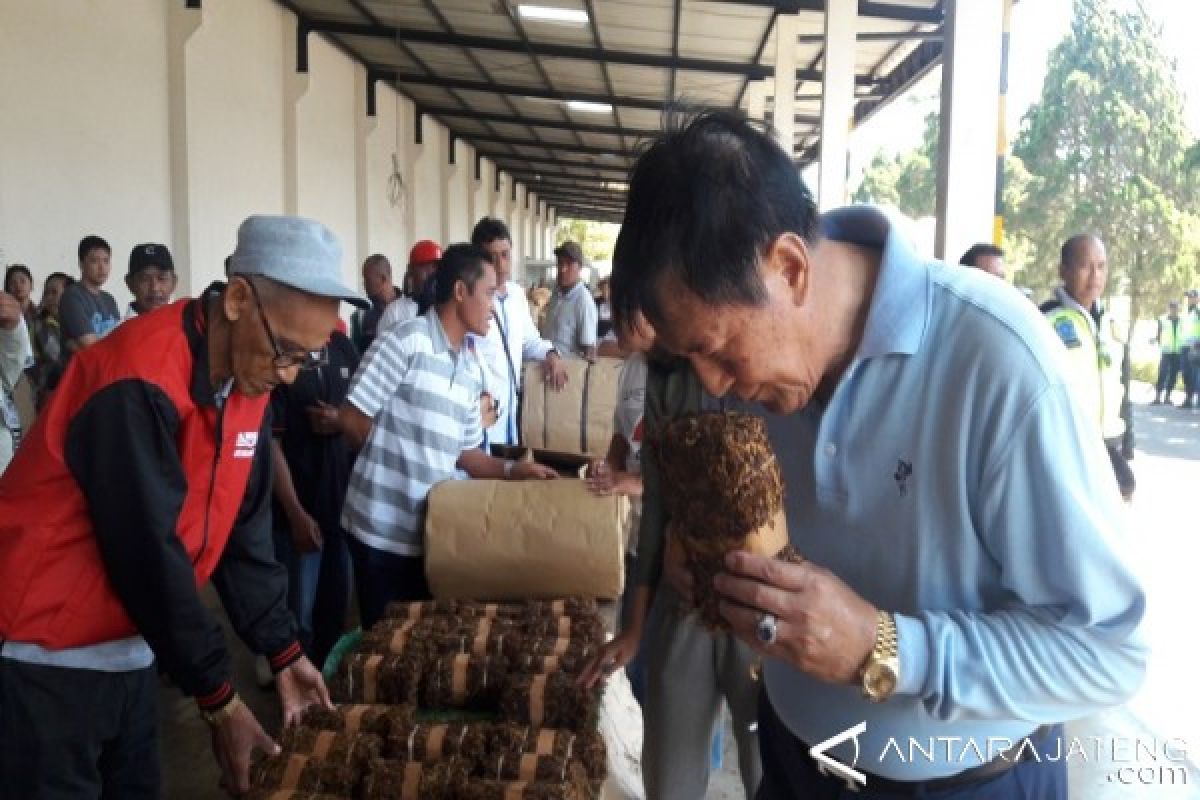 Harga Tembakau Temanggung Capai Rp130.000