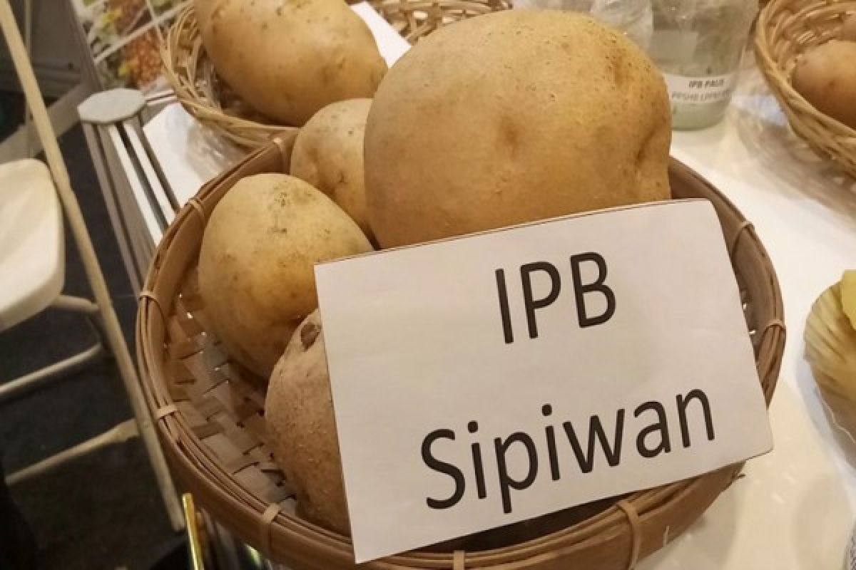 Kentang Sipiwan Meraih Anugerah Komersialisasi Inovasi IPB