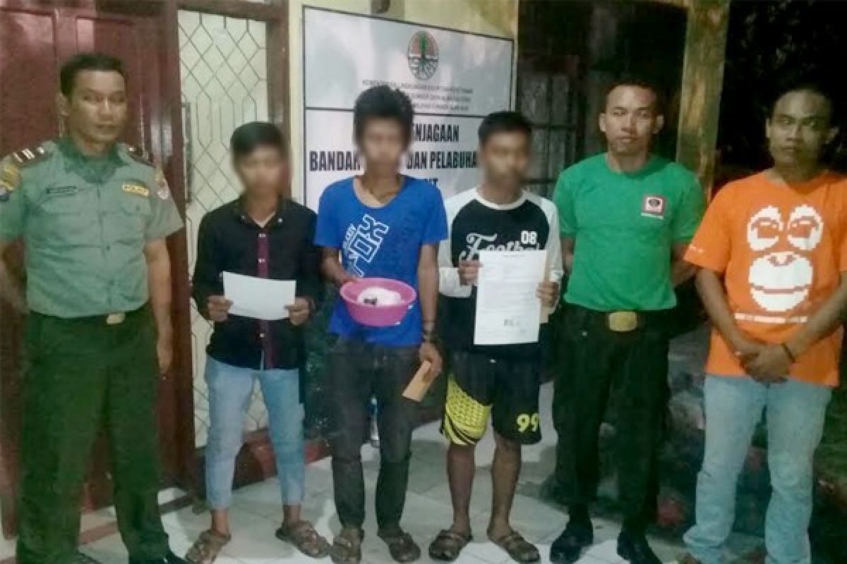 3 Penjual Anak Elang Berhasil Ditangkap BKSDA