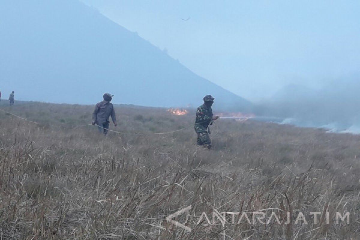 Hutan dan Padang Sabana Gunung Bromo Terbakar