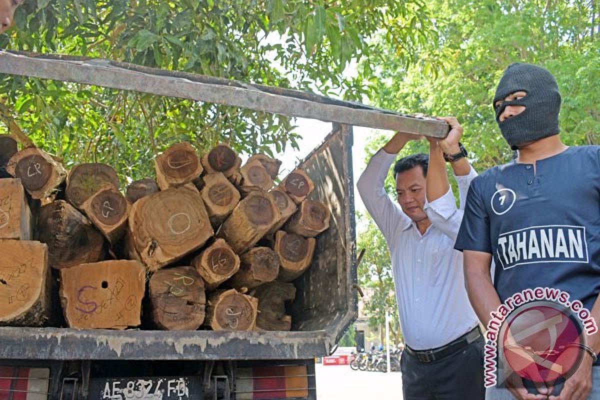 Pengangkut ratusan kayu sono diduga milik Perhutani ditangkap