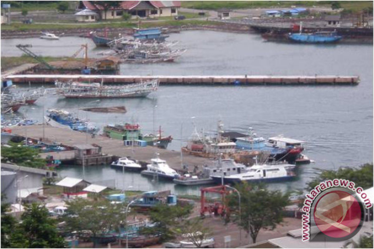 Dua perusahaan pengolahan ikan akan beroperasi di Pelabuhan Lampulo Banda Aceh