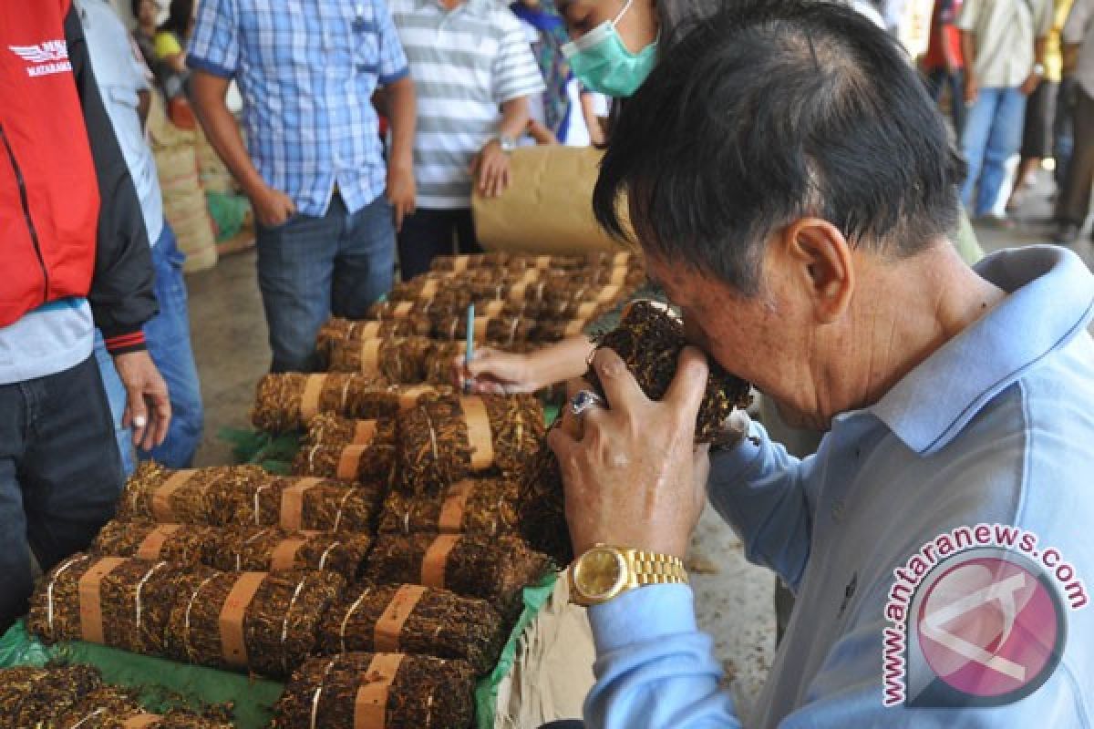 Harga tembakau di Temanggung tembus Rp150.000 per kilogram