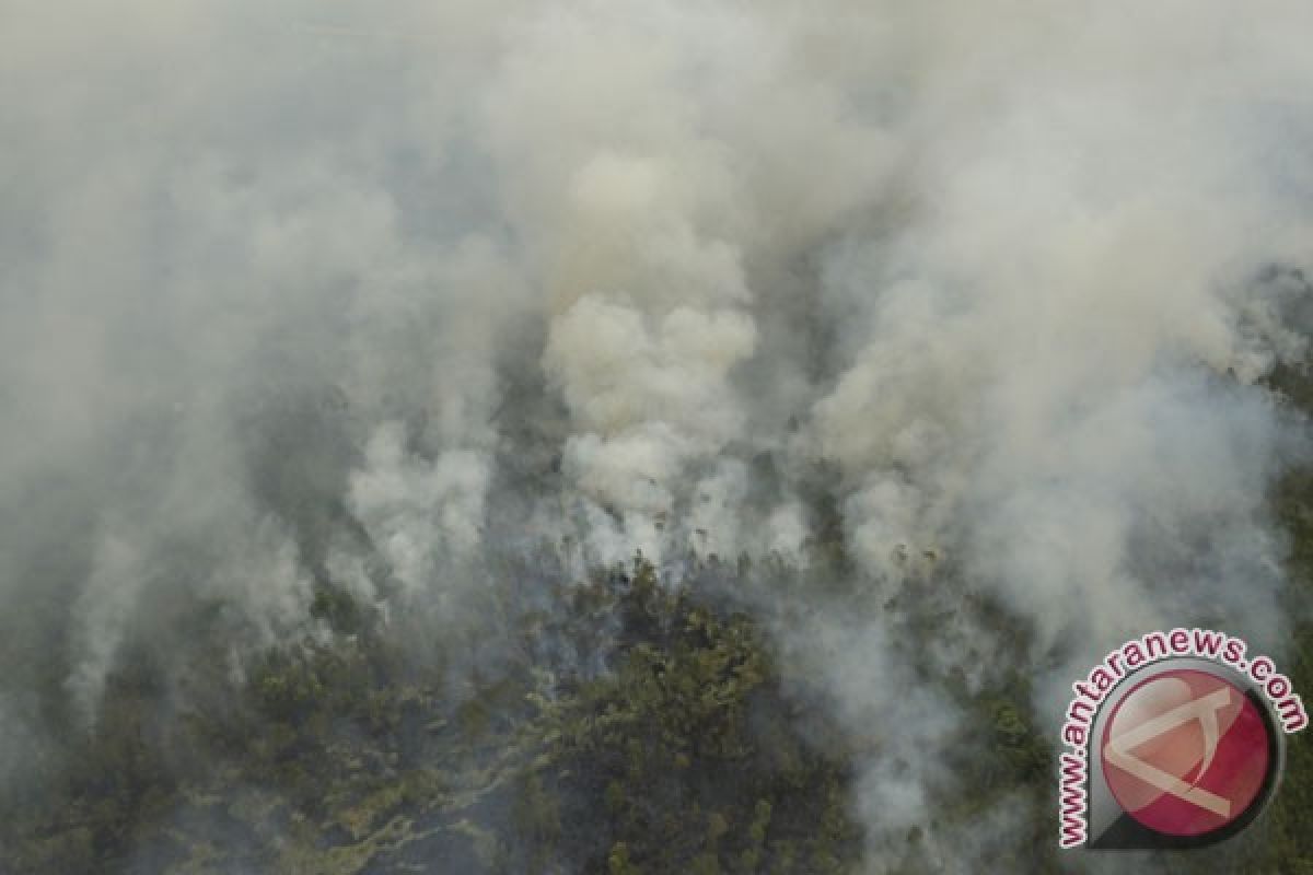 Government prepares grand design to prevent forest fire