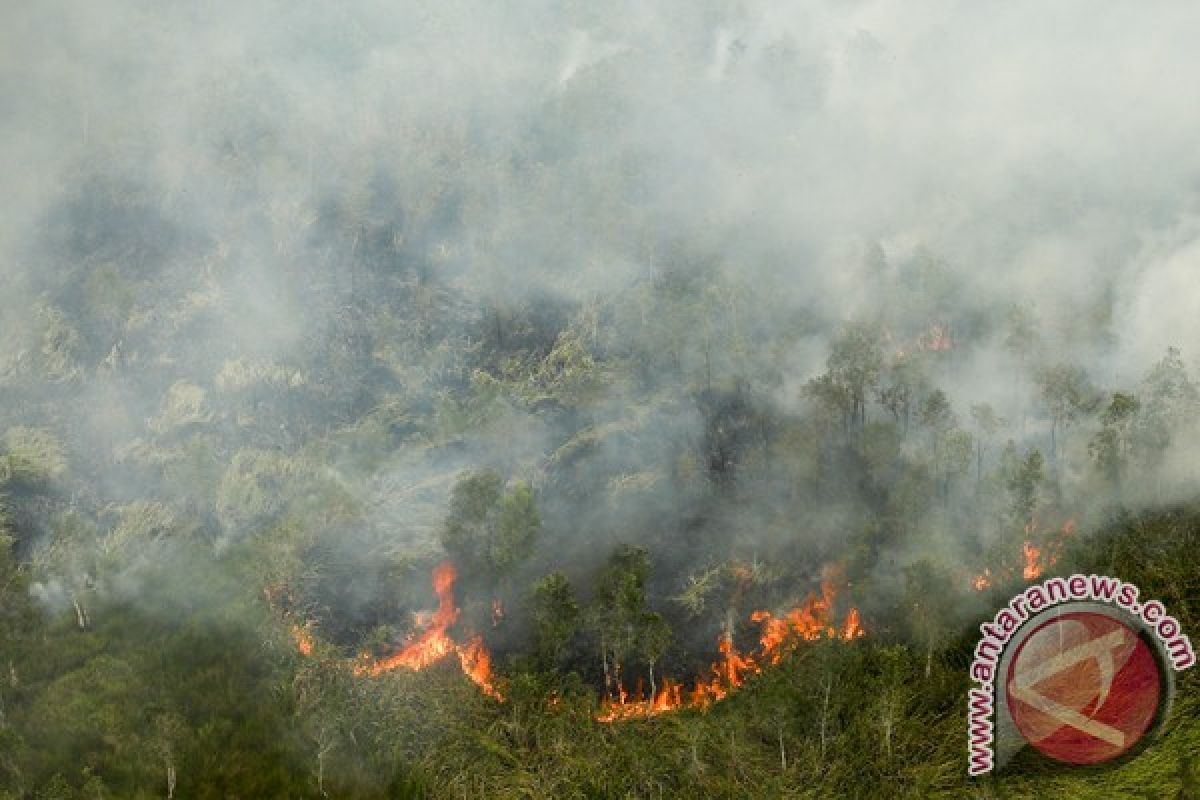 Status siaga darurat Karhutla Jambi berkahir