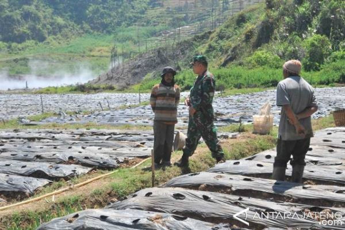 Status Waspada, Kawasan Wisata Dieng Dipastikan Aman Dikunjungi Wisatawan