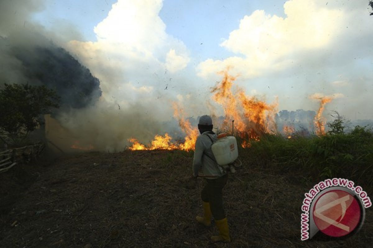 Sumsel maksimalkan pencegahan kebakaran hutan dan lahan