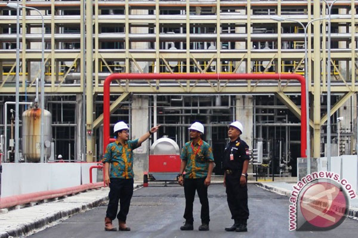 Apolin: Kebijakan gas murah beri nilai tambah perekonomian nasional