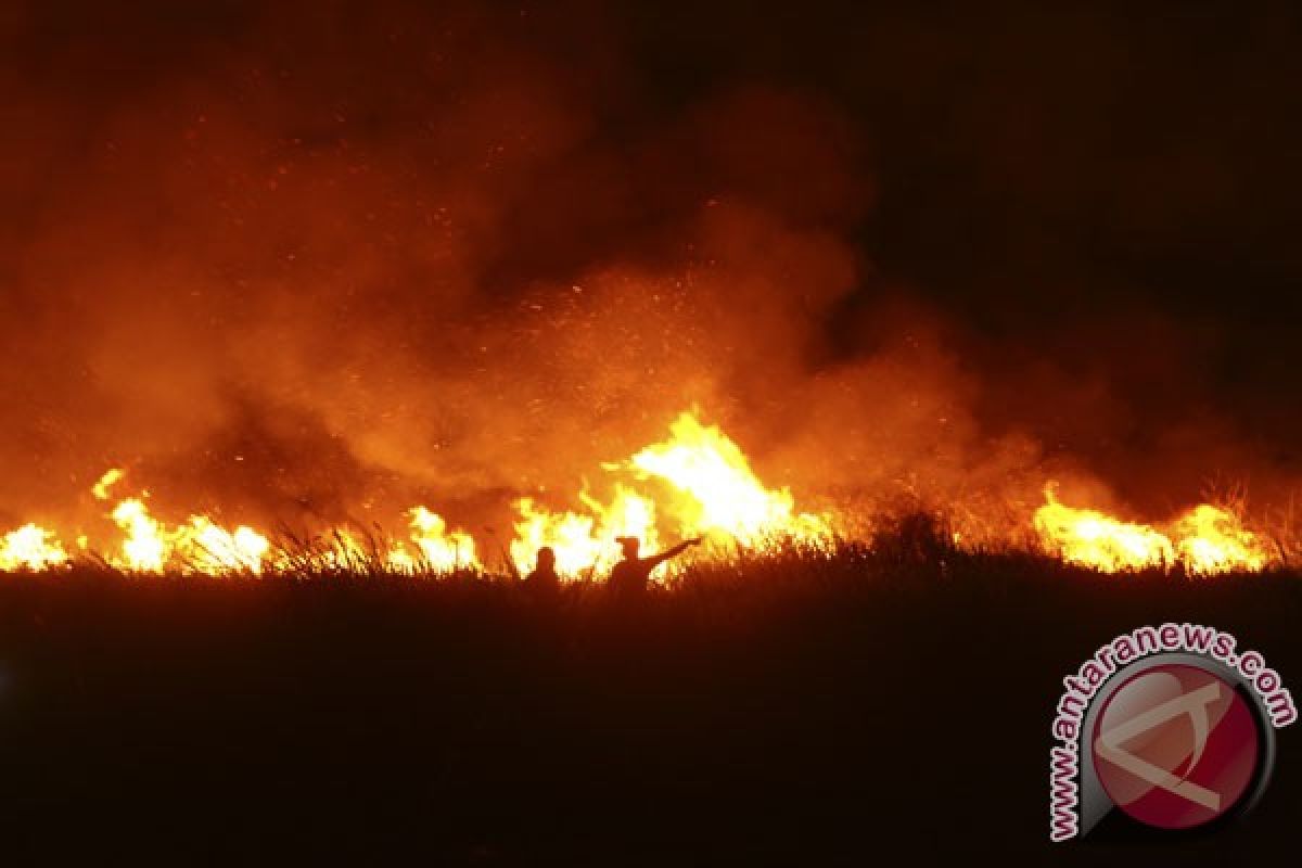 Korem 044/Garuda Dempo operasikan tim patroli malam kebakaran hutan-lahan