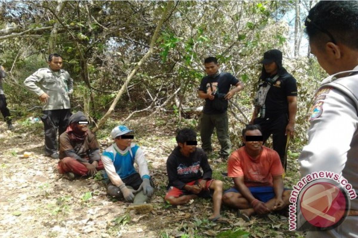 Empat Pelaku Pembalakan di Taman Nasional Tambora Diproses Hukum