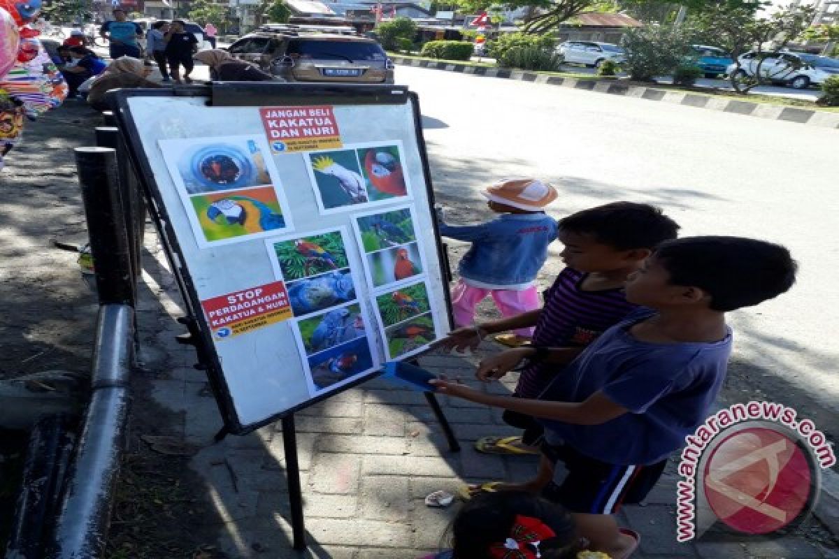 Organisasi Profauna Kampanyekan Stop Perdagangan Burung Kakatua-Nuri