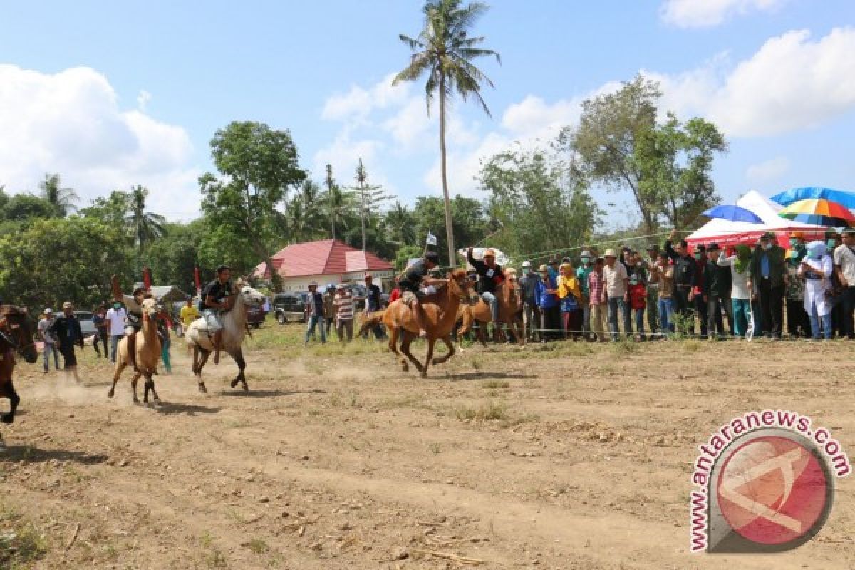 Bupati Bulukumba Buka  "Pabbitaeng Jarang"