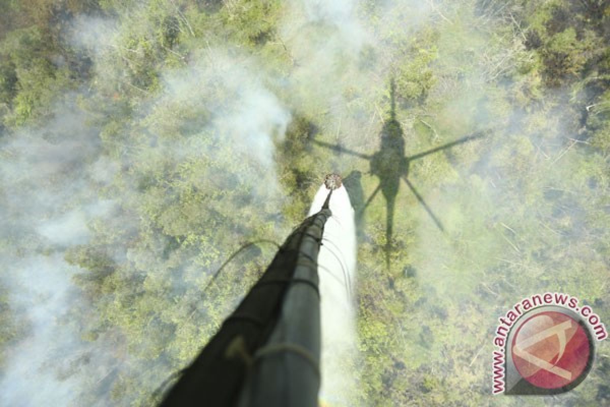 Enam helikopter atasi kebakaran lahan-hutan Riau