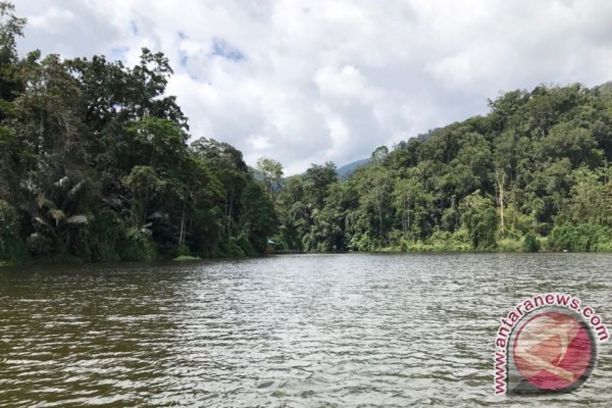 Memetakan hutan adat Lindu, melindungi "jantung" Sulawesi