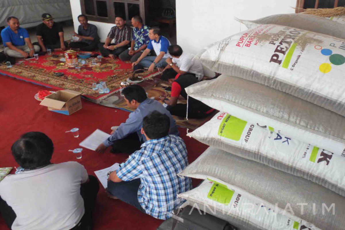 KP3 Jember: Kelangkaan Pupuk Akibat Keterlambatan Distribusi 