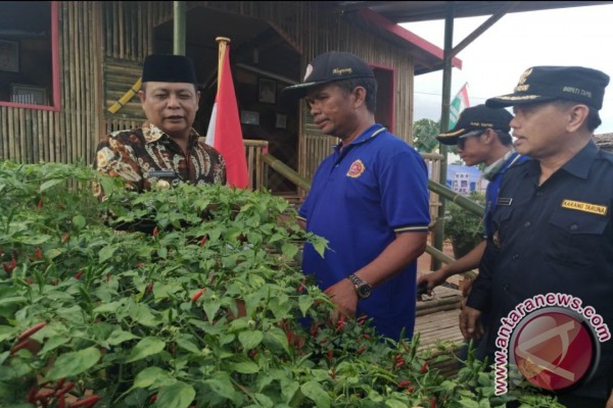 Paman Birin Borong Kain Sasirangan dan Cabai Hiyung