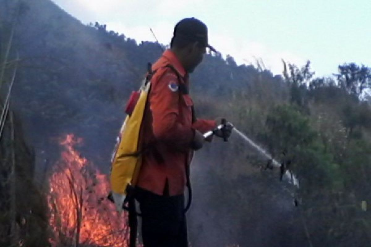 Hutan Gunung Guntur di Garut kembali terbakar