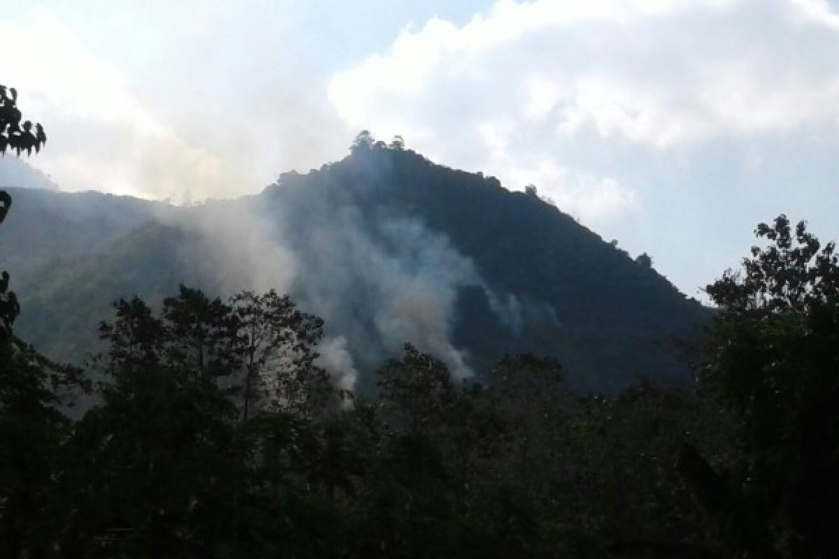 Hutan di Gunung Guntur Garut terbakar