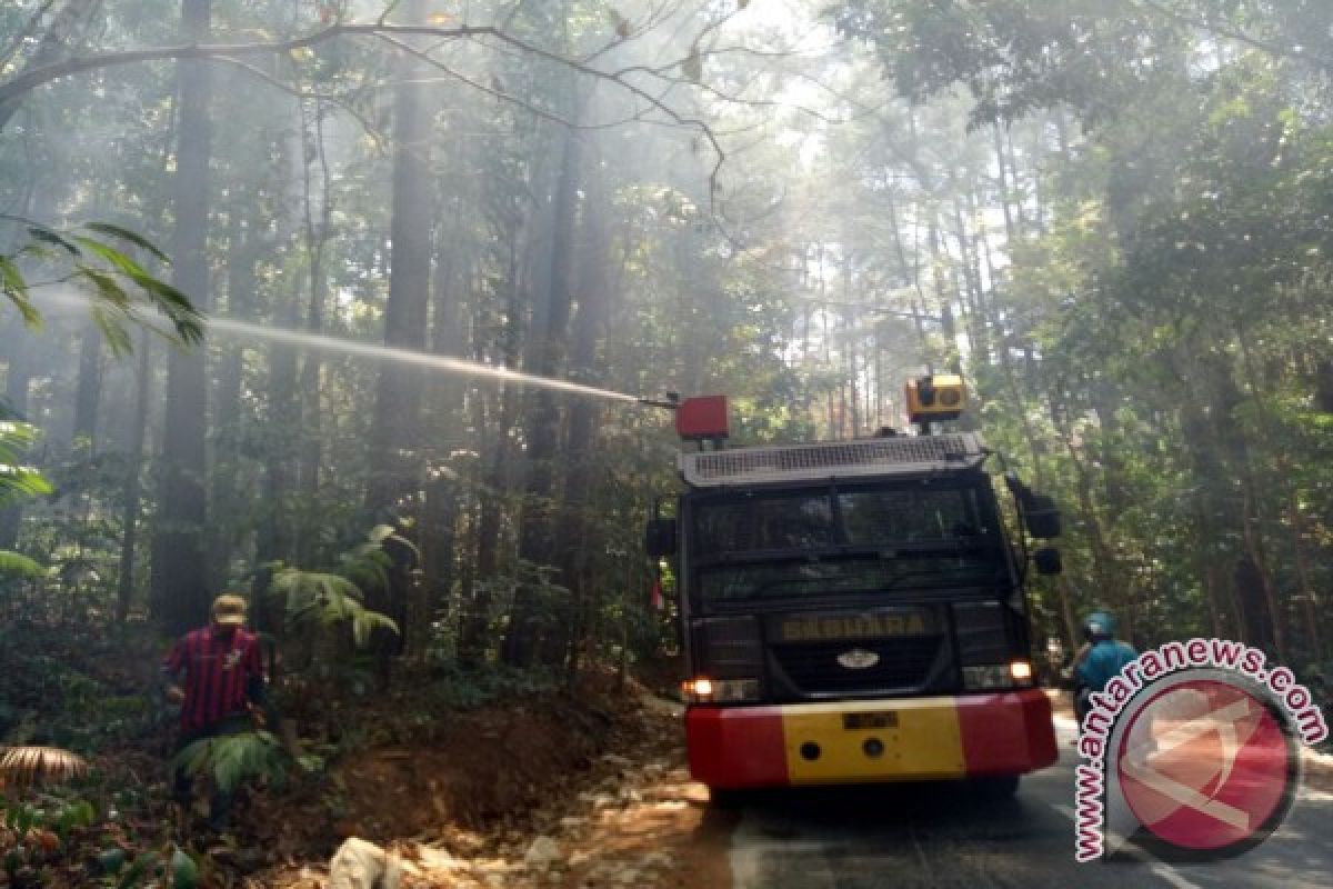 Waspadai karhutla di empat kabupaten