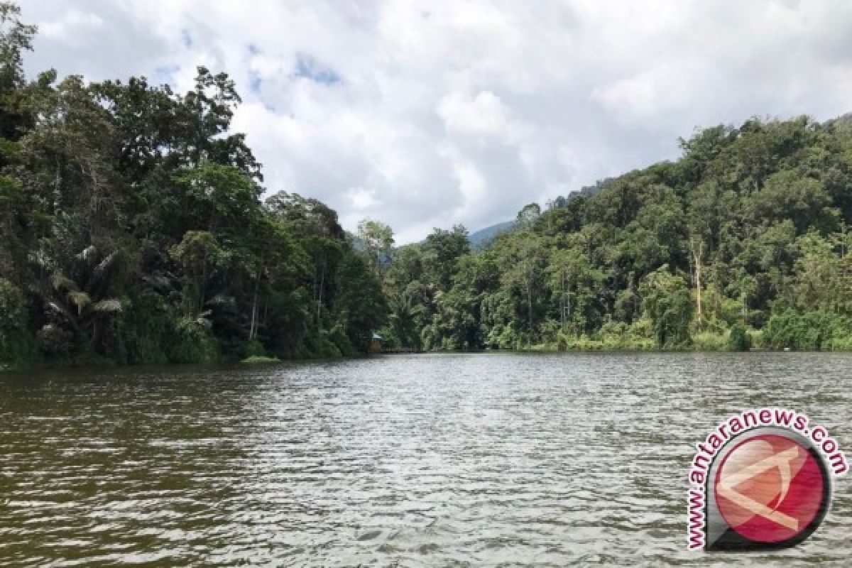 Memetakan hutan adat Lindu, melindungi "jantung" Sulawesi