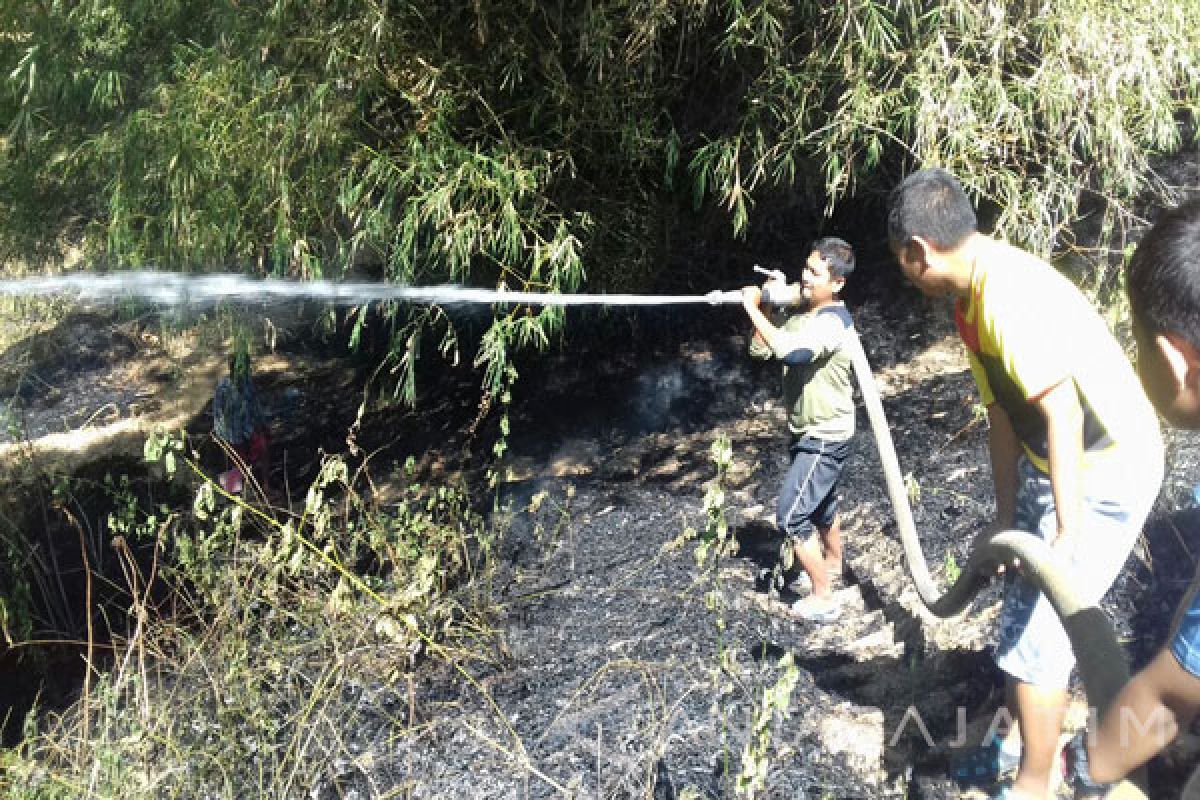 BPBD Pamekasan Cegah Kebakaran Hutan Bambu Meluas