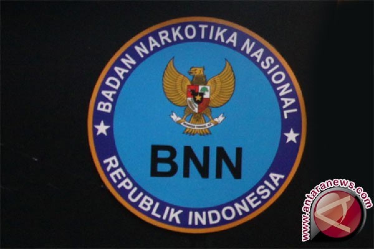 BNN Sulbar: Narkoba Merusak Otak