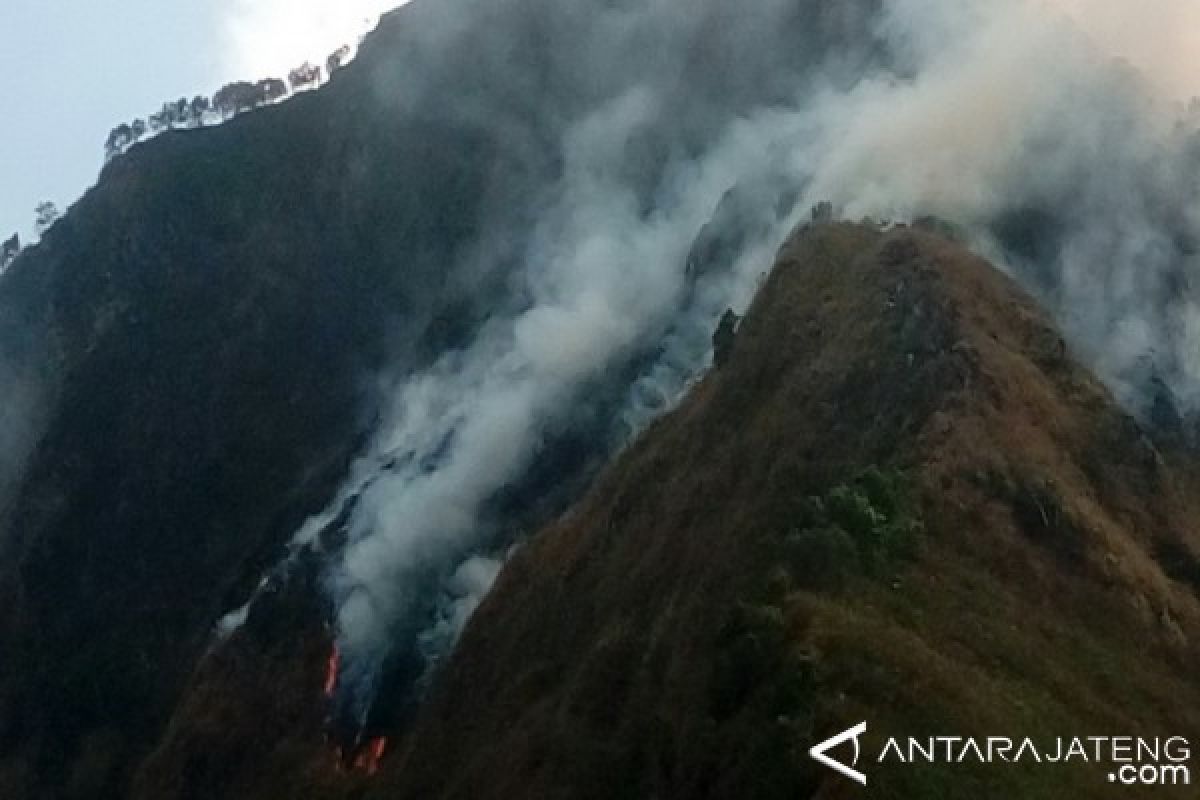 Hutan Pegunungan Rahtawu Kudus Terbakar