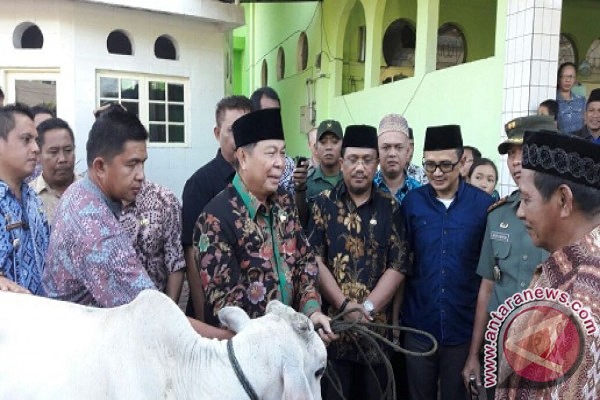 Maknai Hari Raya Kurban Lomban Serahkan 17 Ekor Sapi